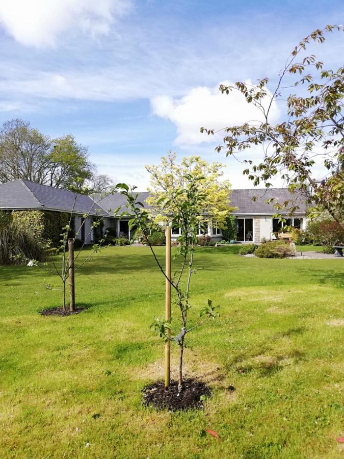مبيت وإفطار كيلارني Applecroft House المظهر الخارجي الصورة